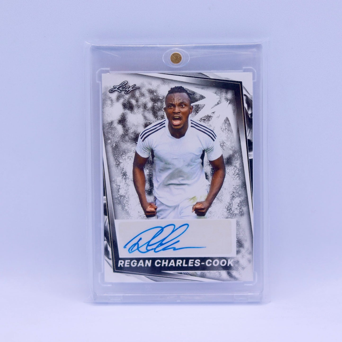 ريغان تشارلز كوك ليف 2024